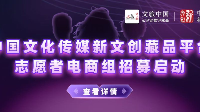 mg动画微课制作：揭秘报价背后的秘密