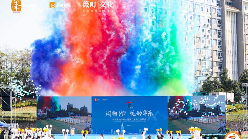 科技公司品牌设计合同定制：揭秘关键要素与合规要点